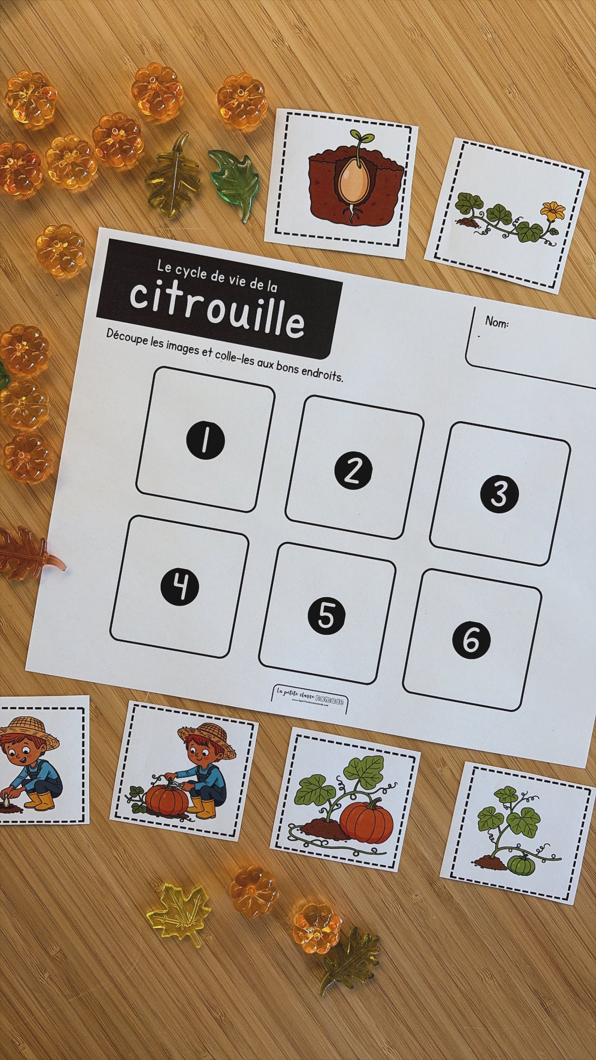 Lettre Cc - Citrouille