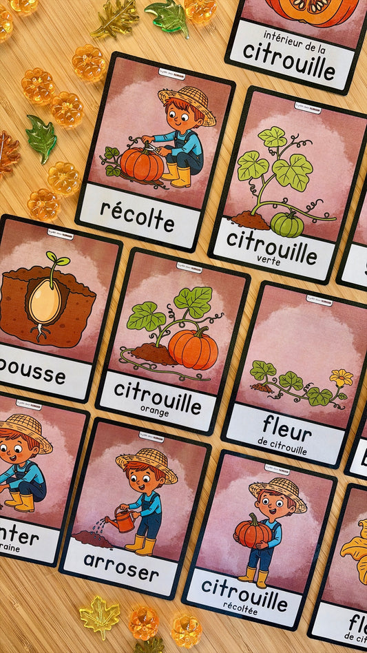 Mots imagés cycle de vie - Les citrouilles