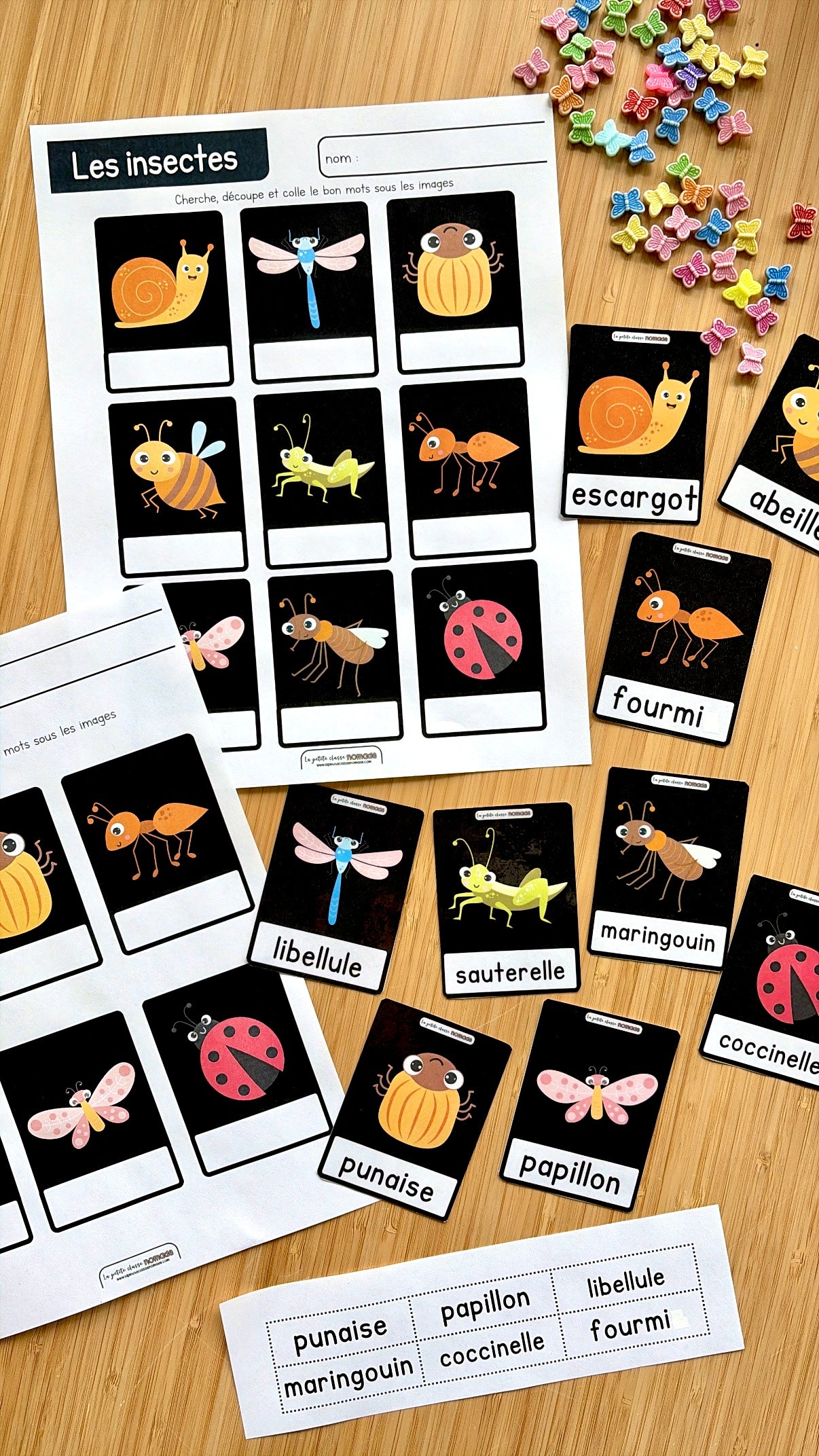 Chasse aux mots - Insectes