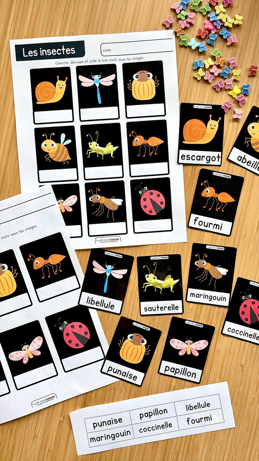 Chasse aux mots - Insectes
