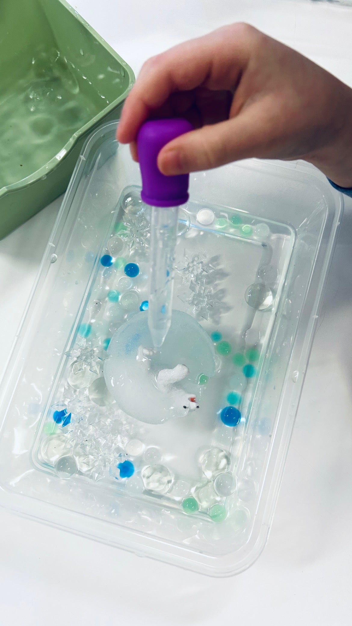 Déglace les animaux polaires et les lettres/chiffres