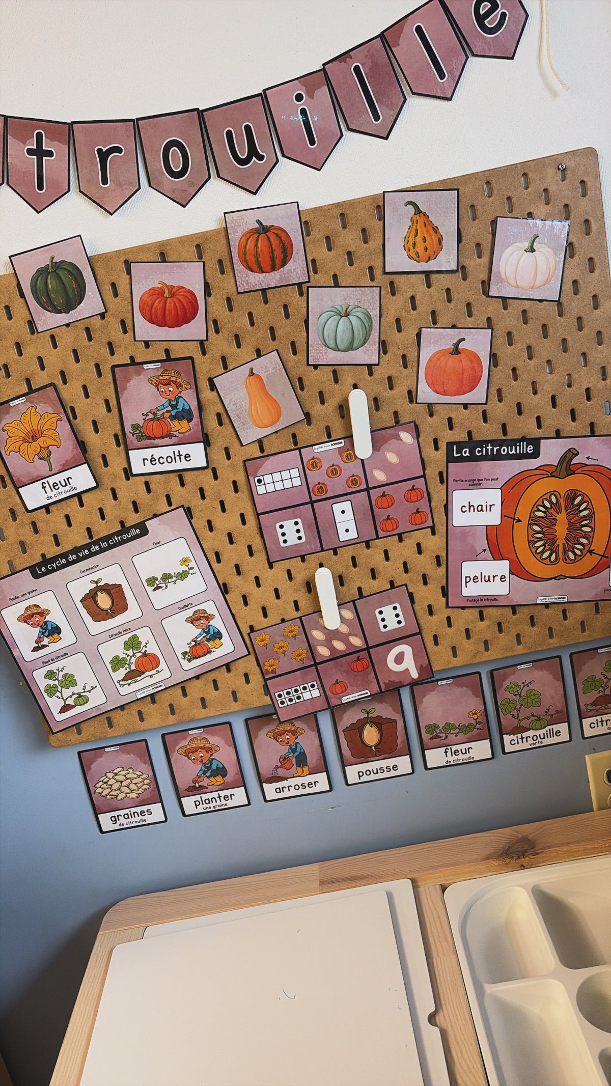 Cartes dénombrement moule à gâteau - Citrouilles
