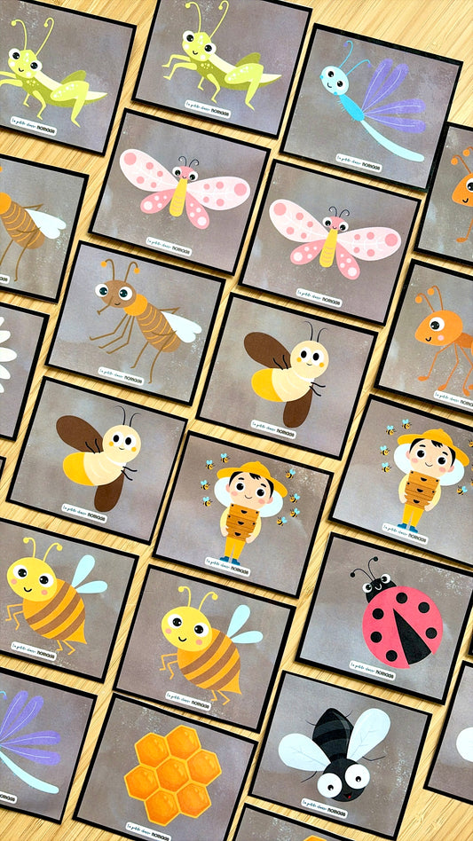 Jeu de mémoire - Insectes et printemps