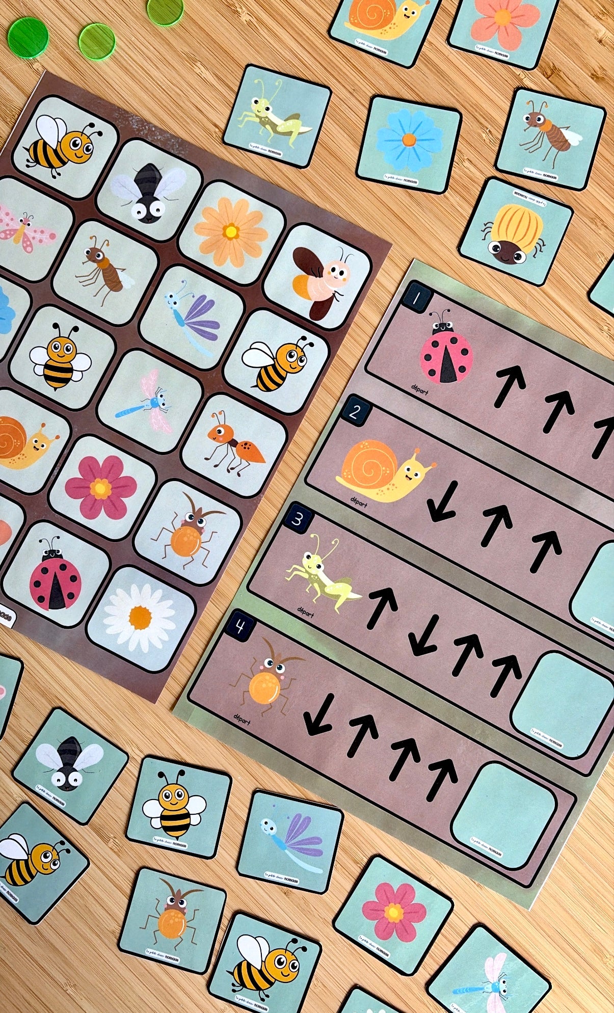 Jeu de directions - Insectes et printemps