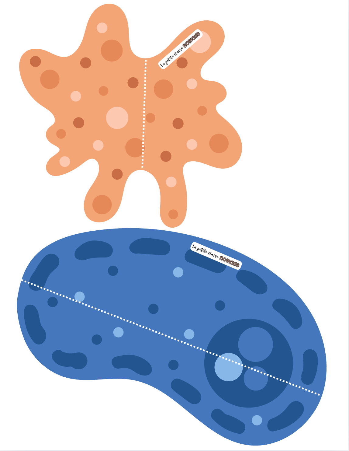 Atelier de mesures - Virus