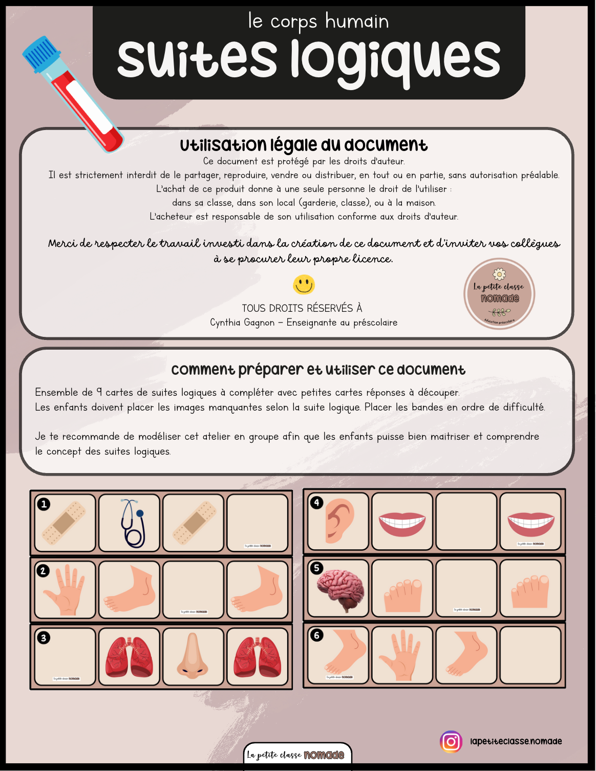 Atelier - Suites logiques corps humain