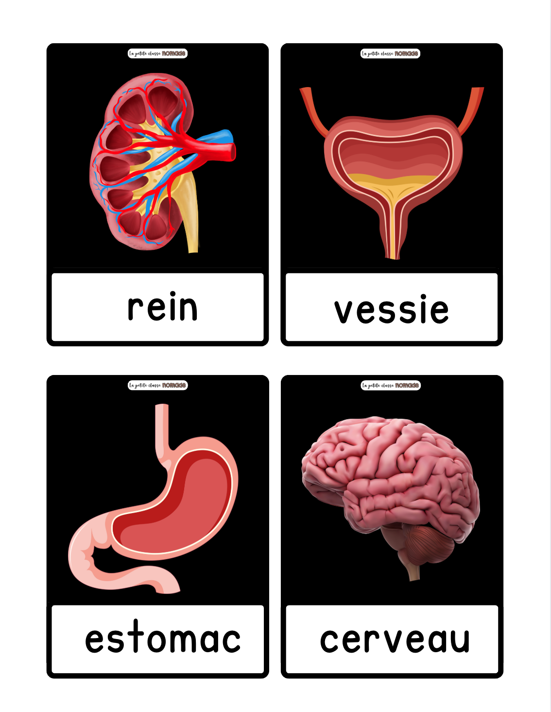 Mots imagés - PETITS - Santé et corps humain