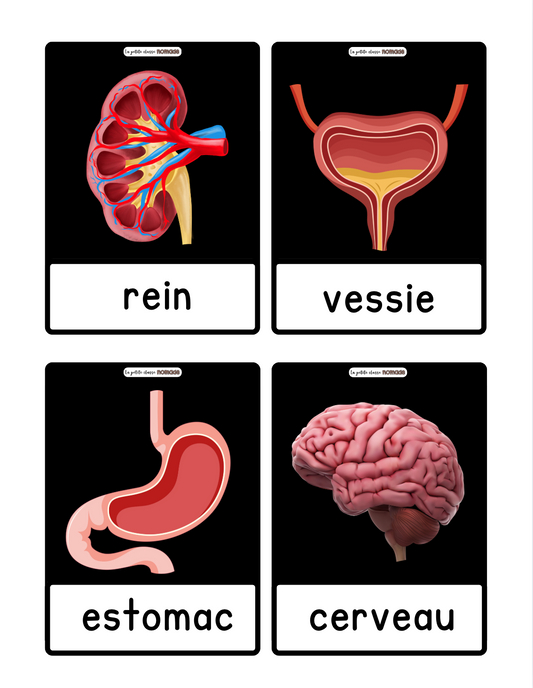 Mots imagés - PETITS - Santé et corps humain