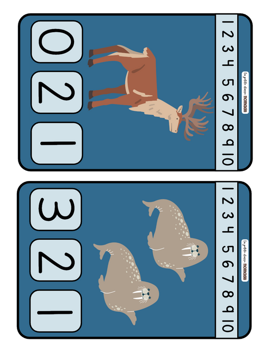 Atelier - Compte monde polaire