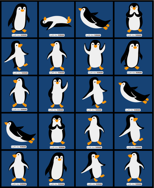 Atelier dénombrement manchots-banquises