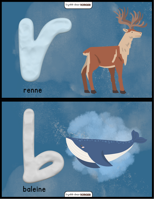 Atelier - Lettres son initial - Monde polaire