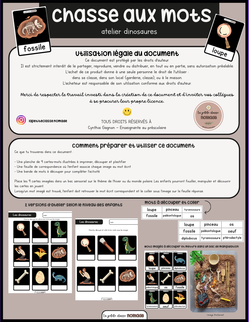 Atelier - Chasse aux mots dinosaures