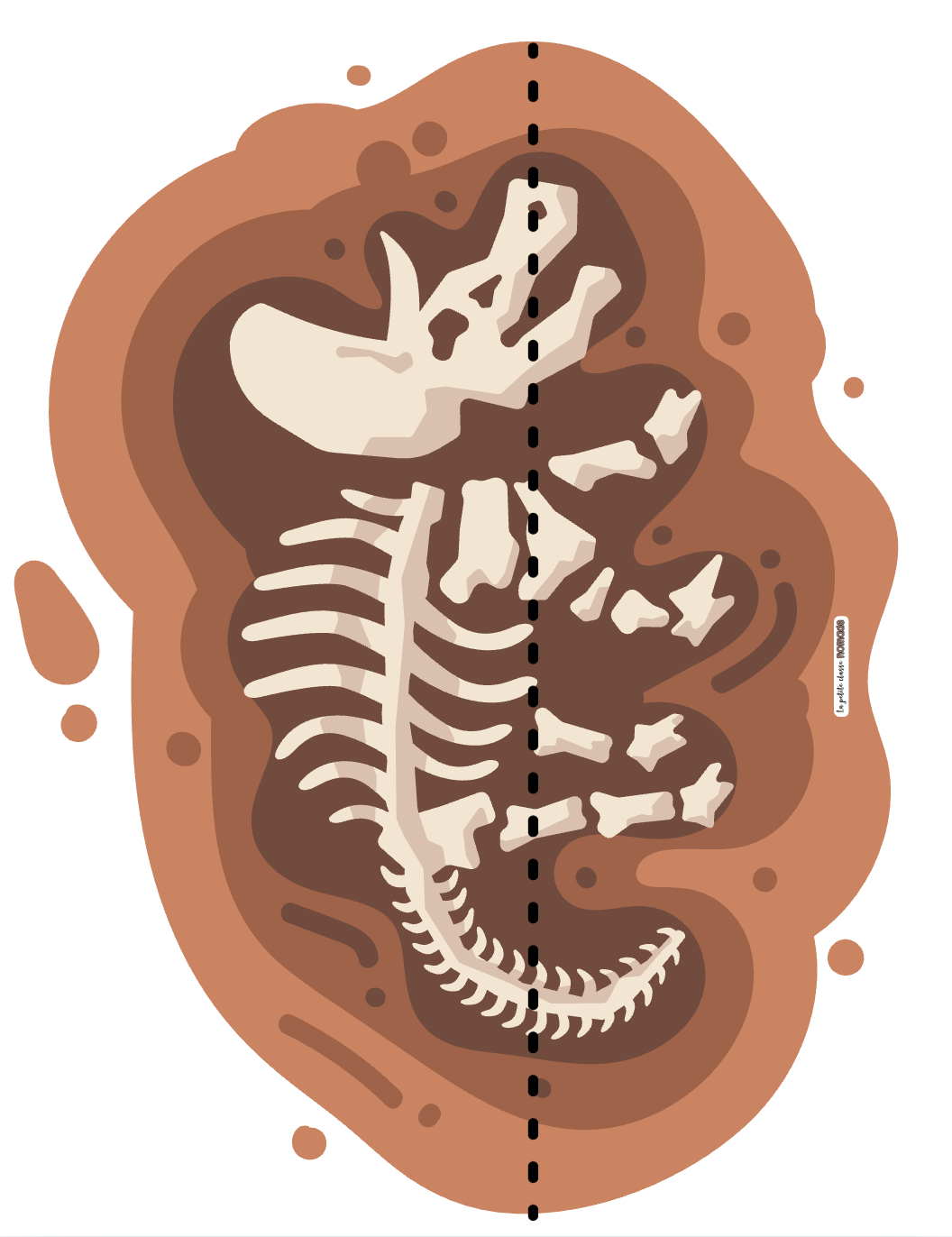 Atelier de mesures - Dinosaures