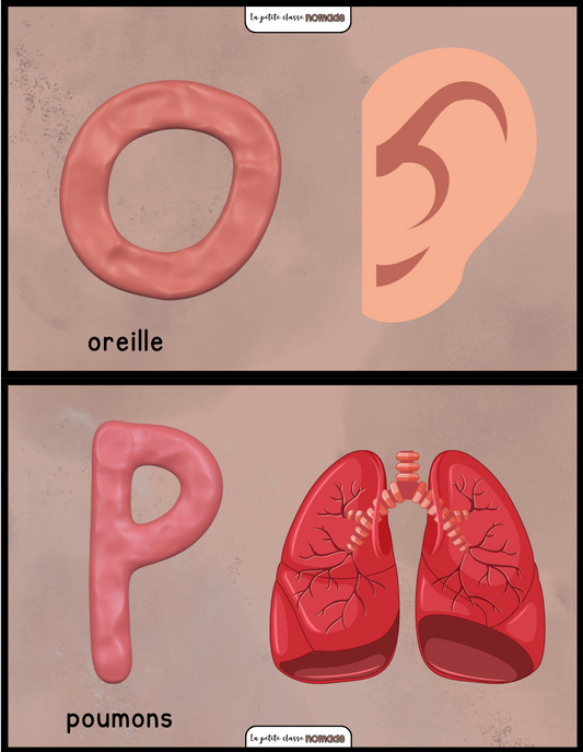 Son initial et pâte à modeler - Corps humain