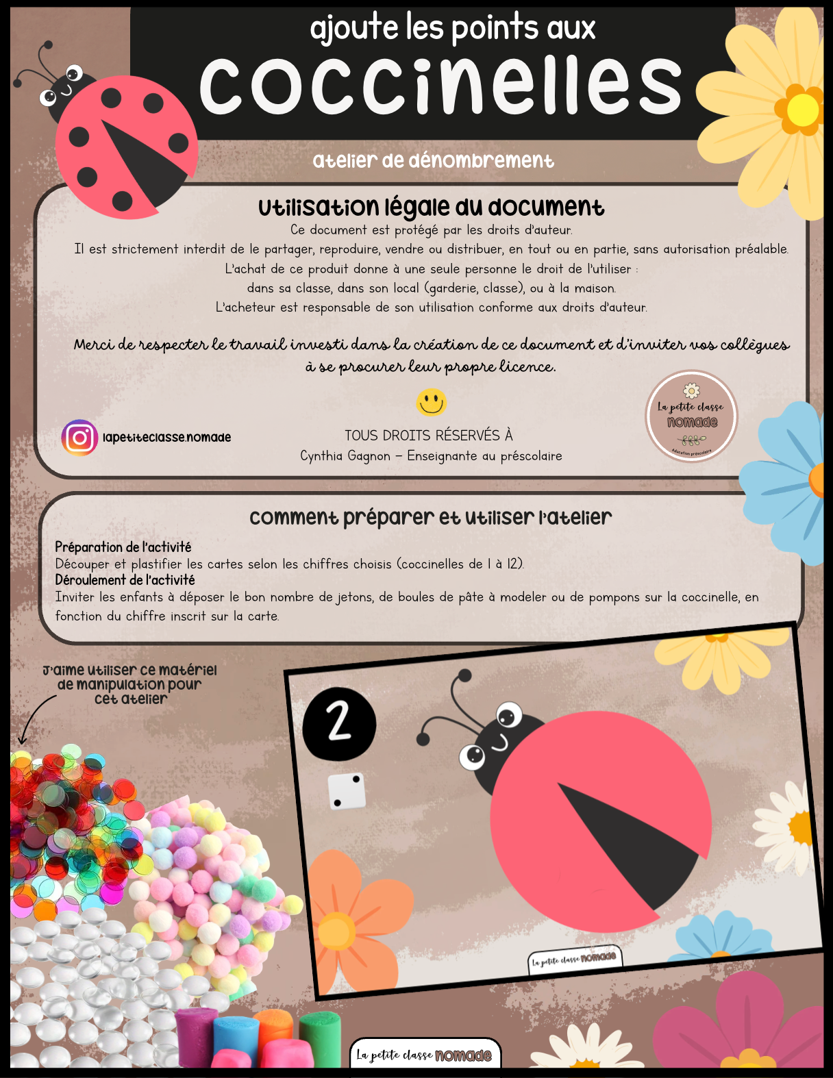 Ajoute les points aux coccinelles - Insectes