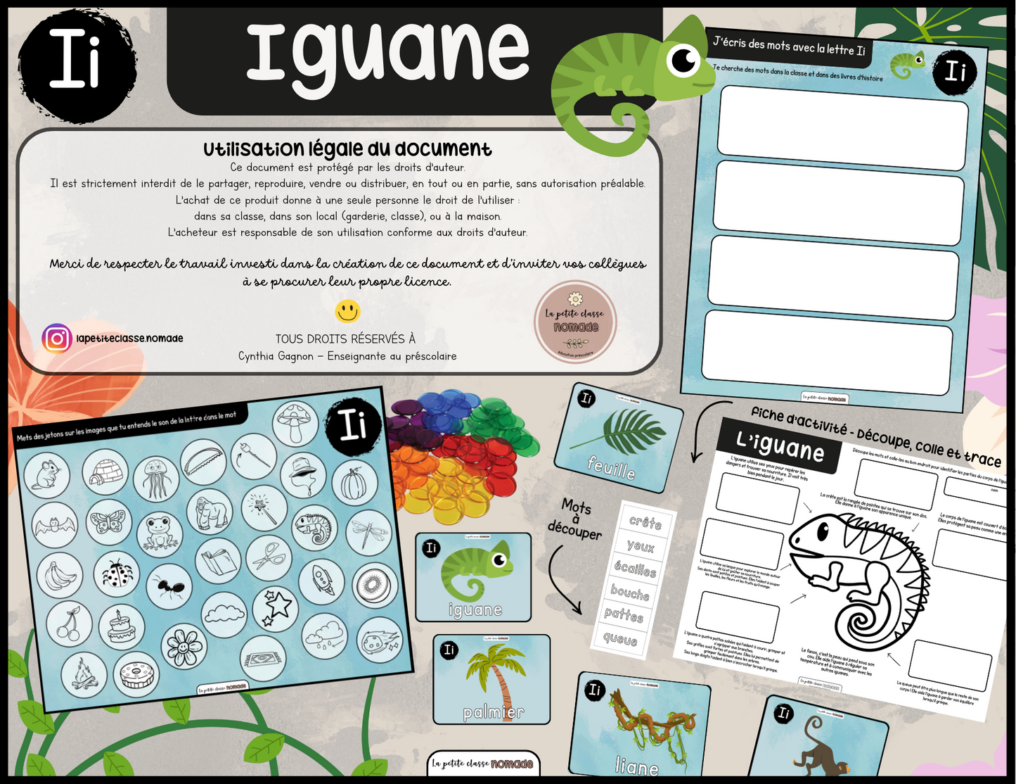 Lettre Ii - Iguane