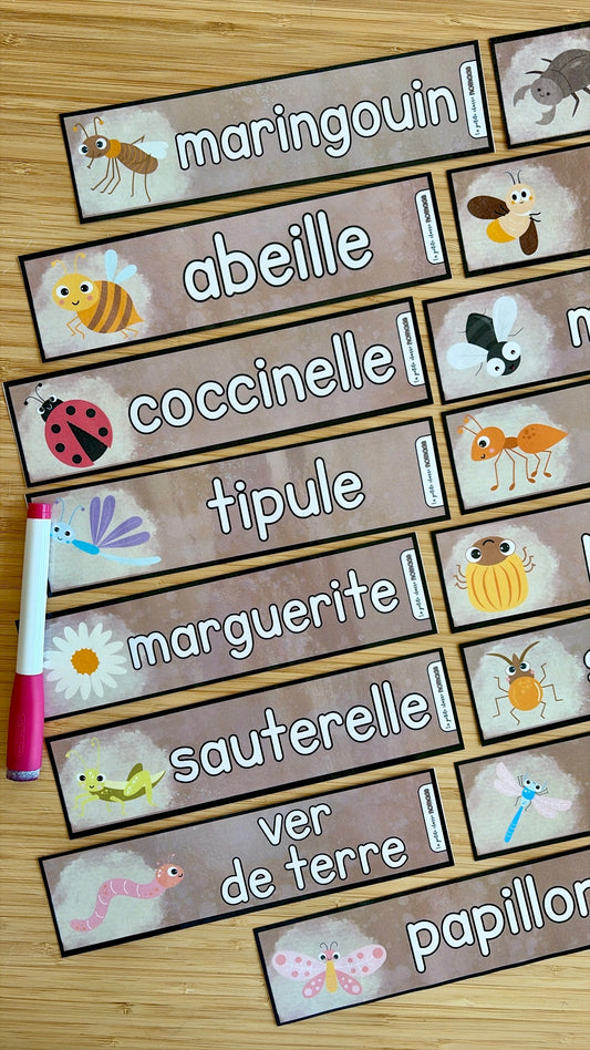 Mots imagés à tracer - Insectes