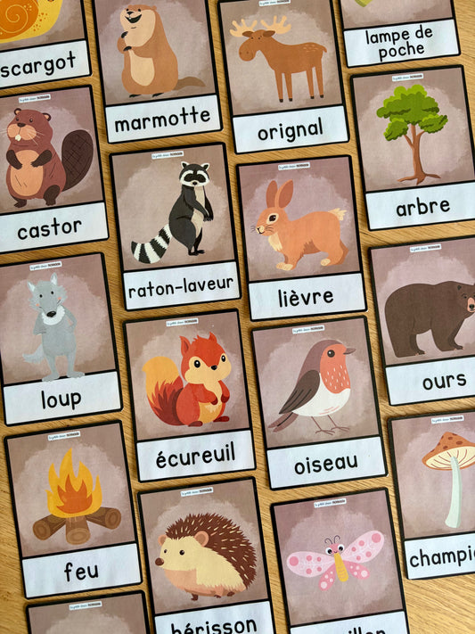 Mots imagés - La forêt