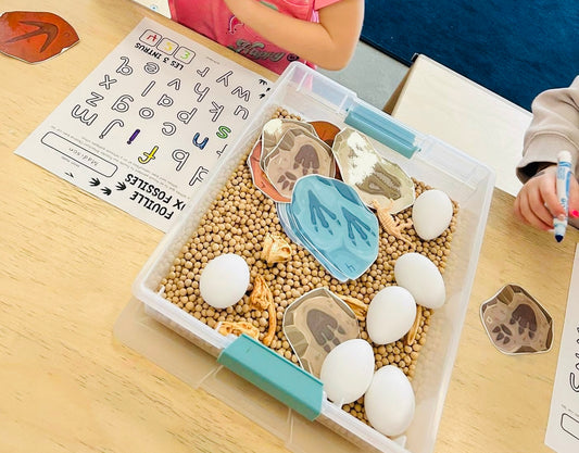 Atelier - La fouille aux fossiles