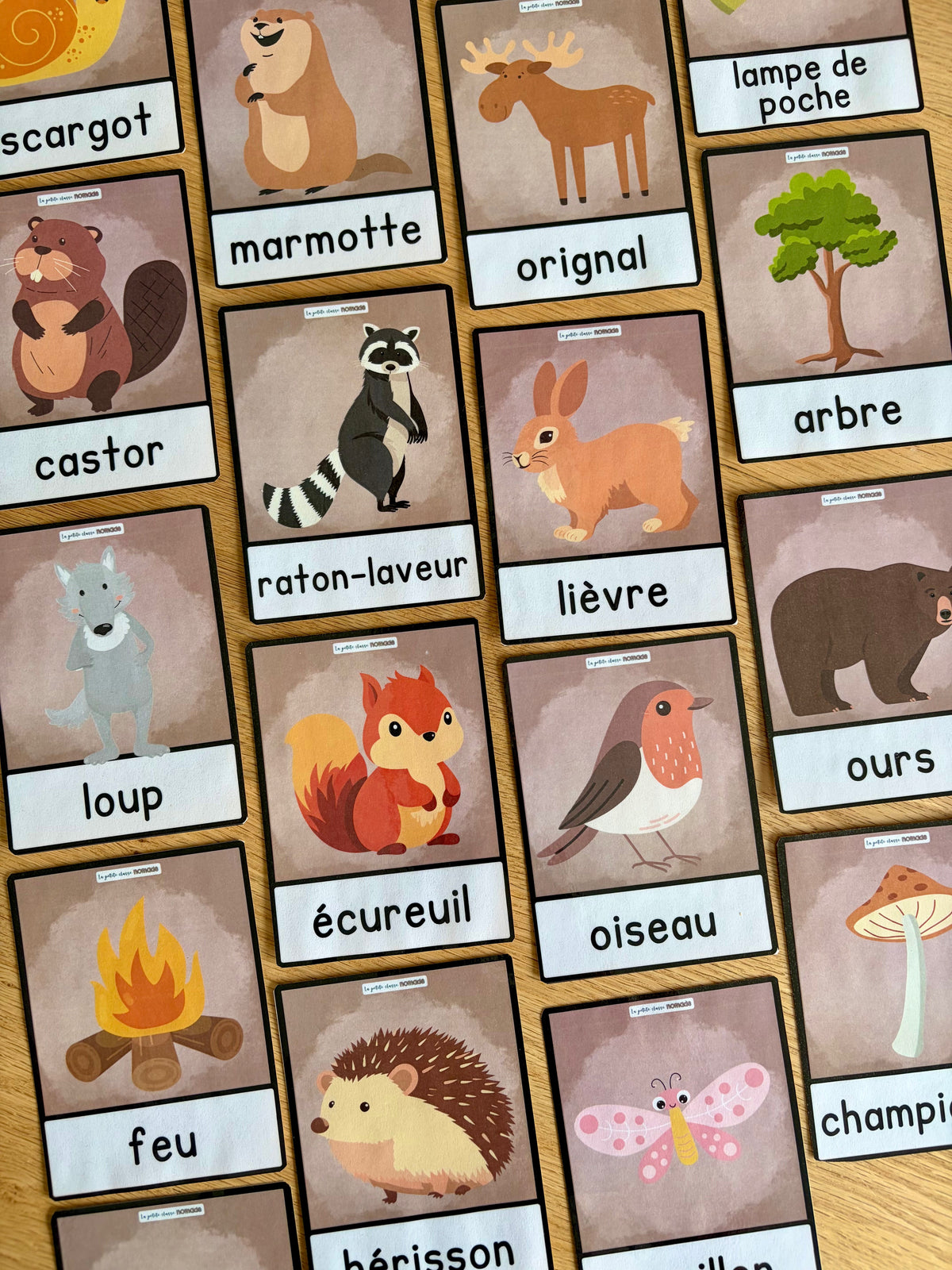 La forêt / nature / animaux