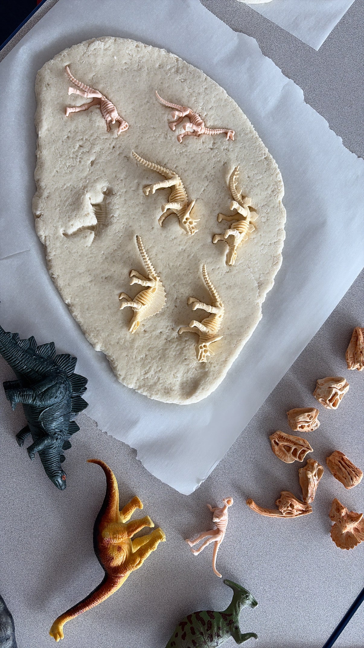 Recette pâte de sel - Fossiles