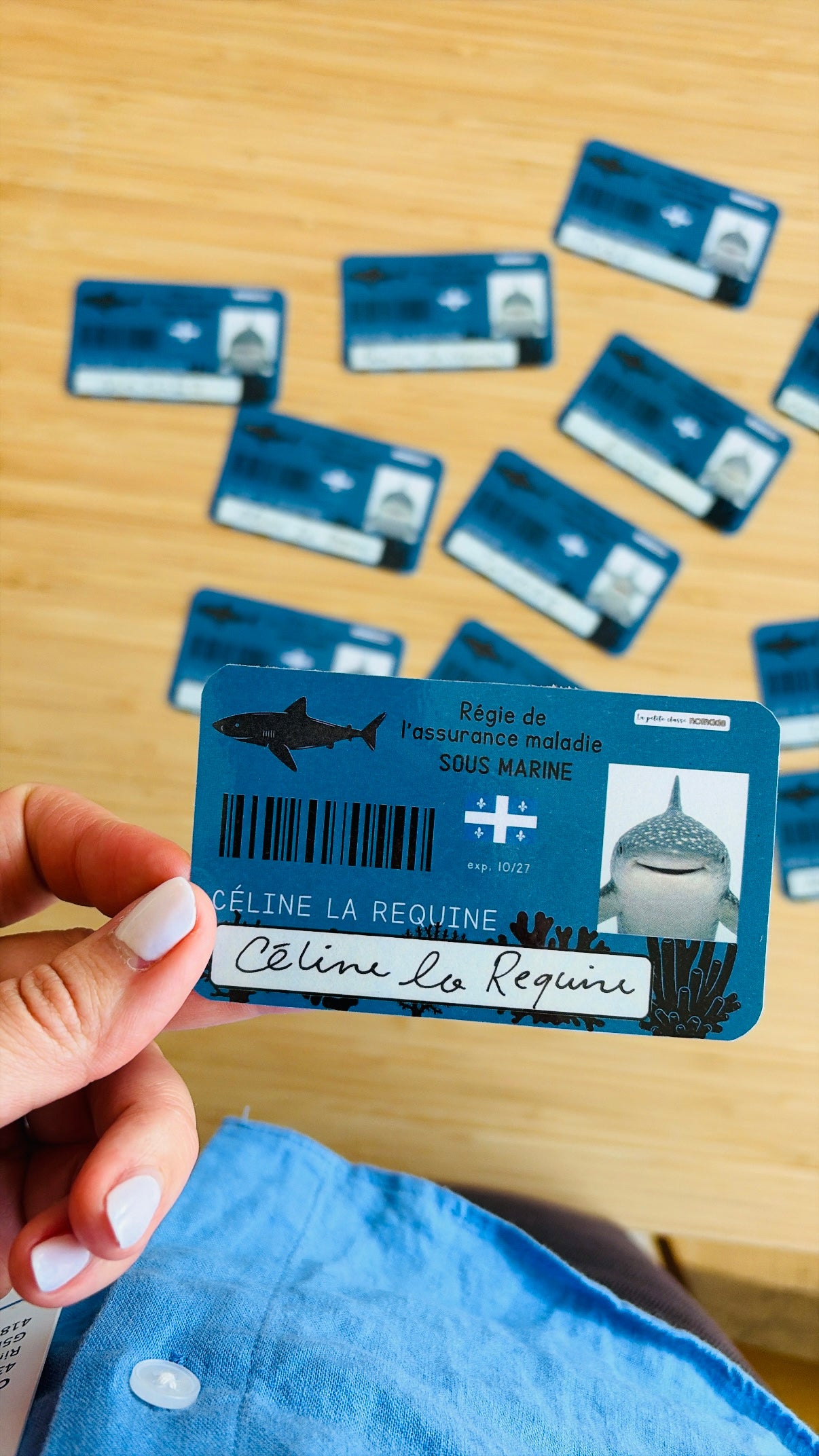 Ensemble - Hôpital de requins et activités/ateliers