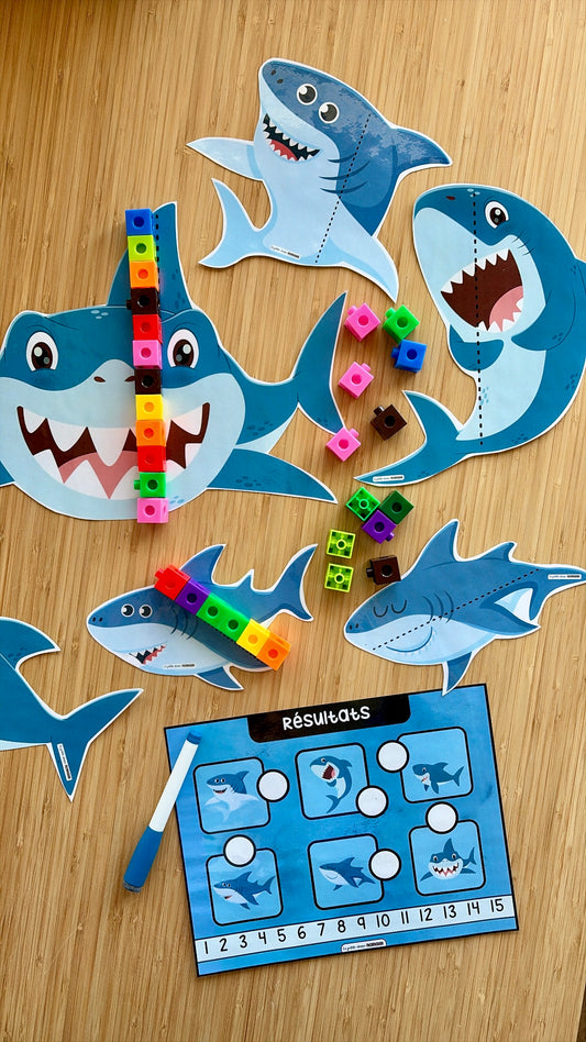 Atelier de mesures - Requins