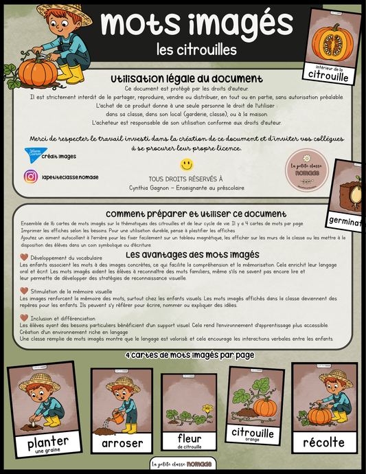 Mots imagés cycle de vie -  Les citrouilles