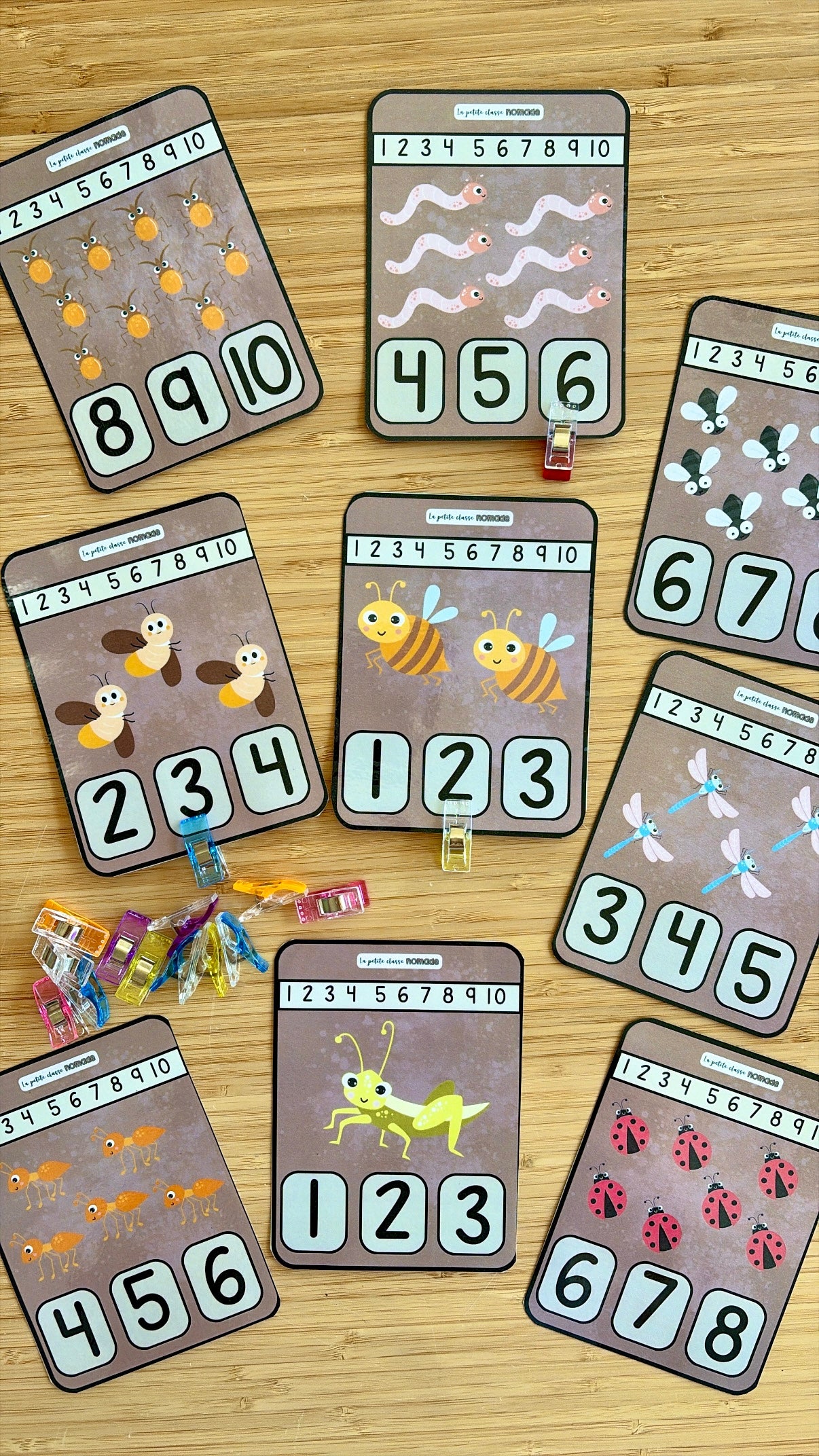 Cartes - Compte les insectes