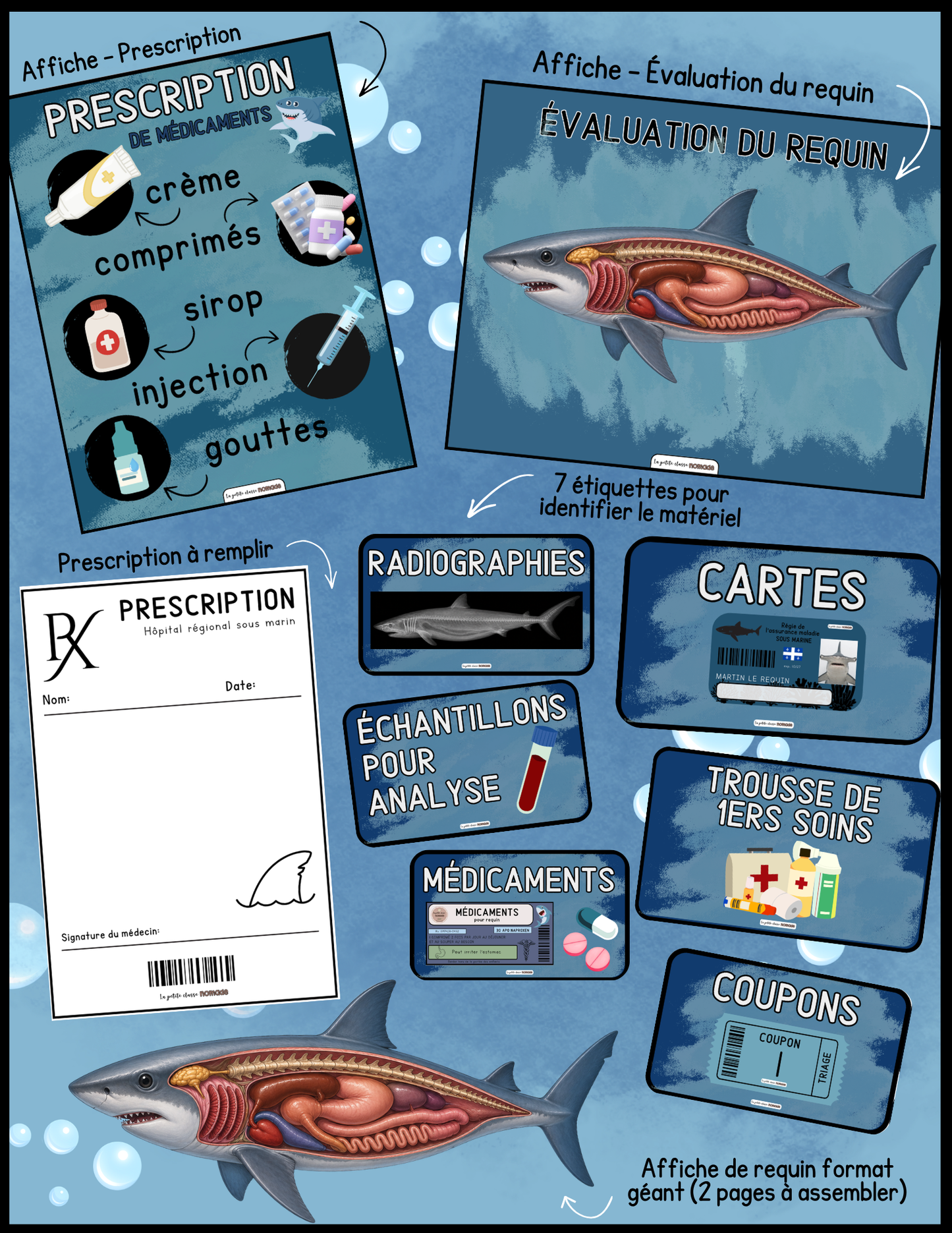 Ensemble - Hôpital de requins et activités/ateliers