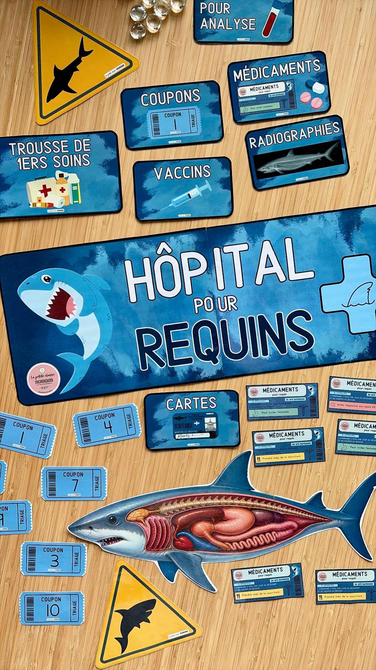 Ensemble - Hôpital de requins et activités/ateliers