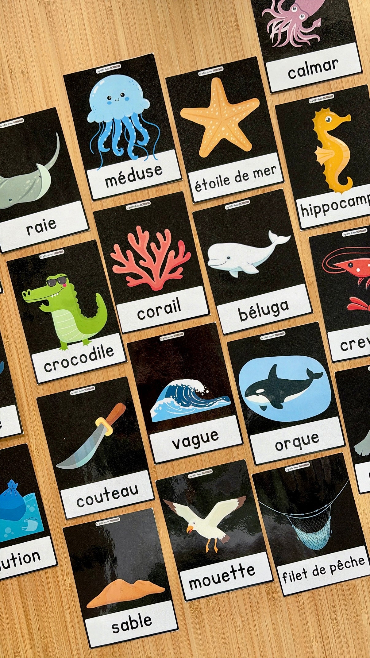 Ensemble de 7 activités-ateliers - Pirates et océan
