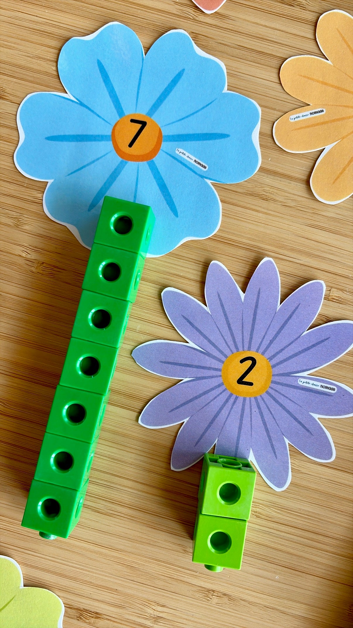 Ajoute des tiges aux fleurs - Printemps et insectes