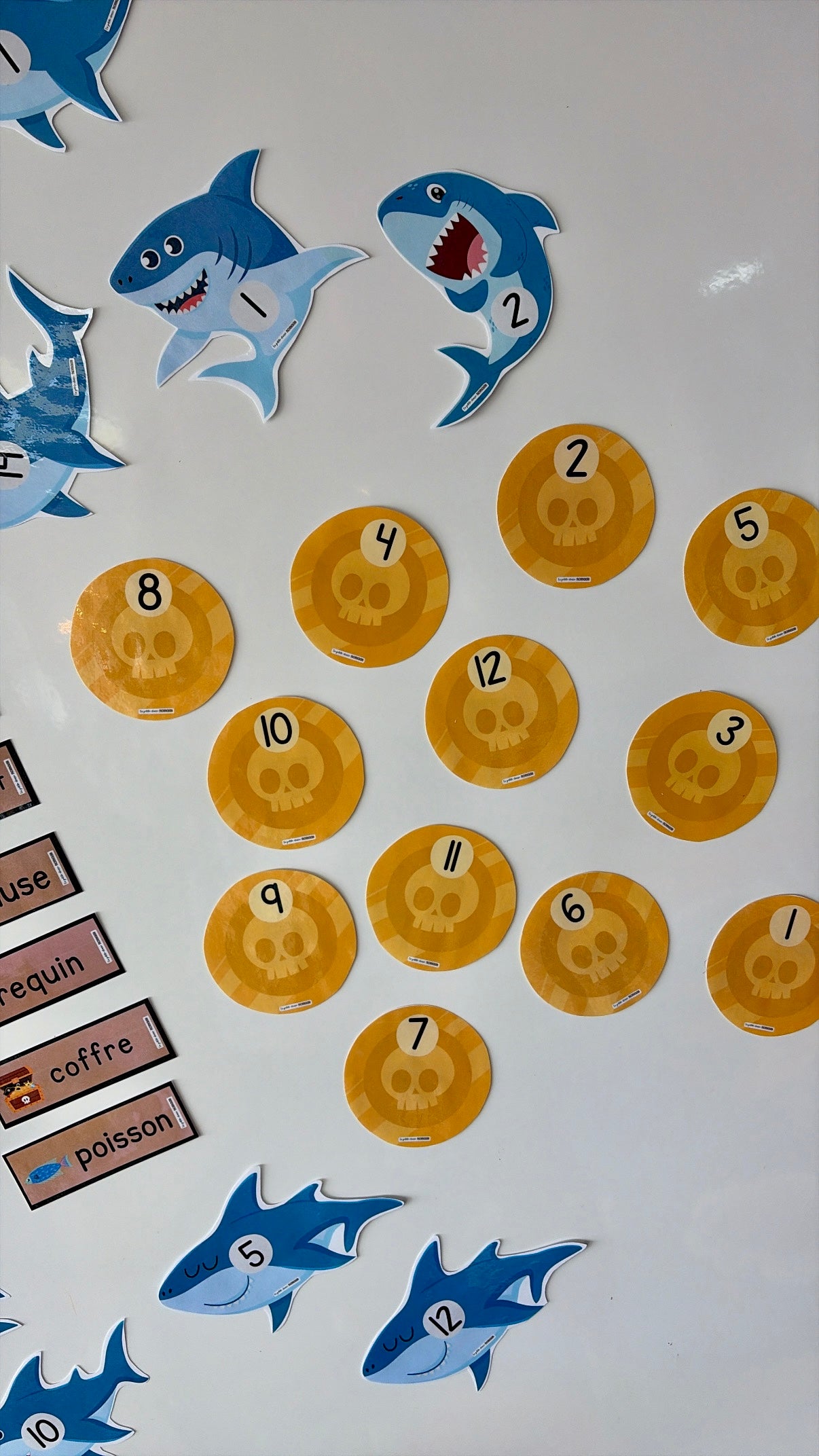 Requins numérotés