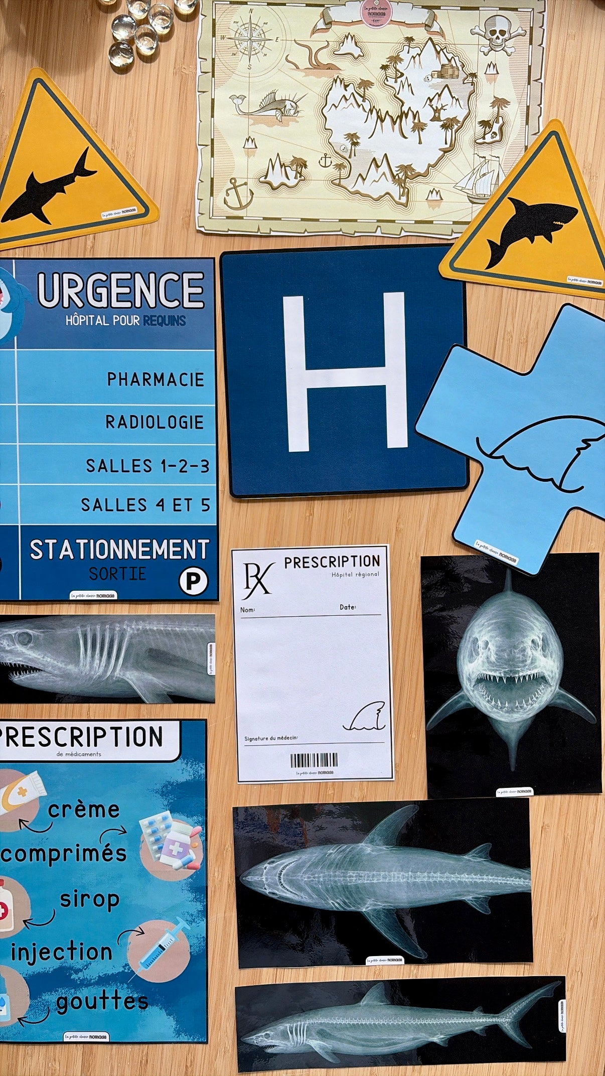 Ensemble - Hôpital de requins et activités/ateliers