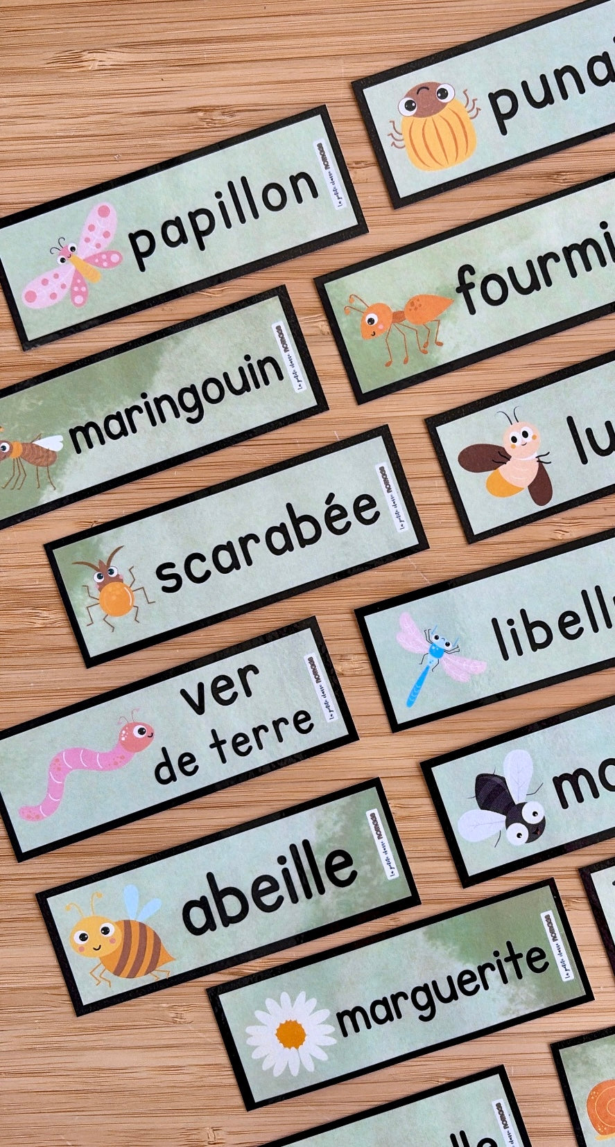 Ensemble #1 de  5 activités/ateliers - Insectes