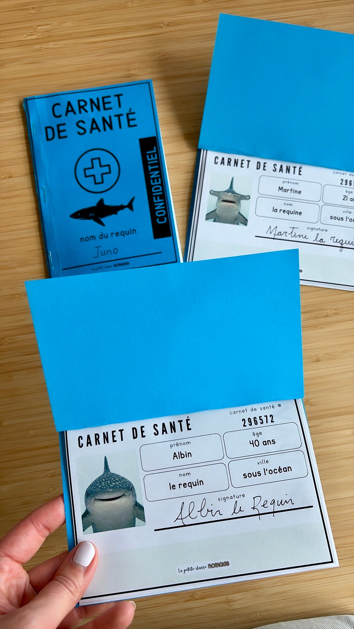 Ensemble - Hôpital de requins et activités/ateliers