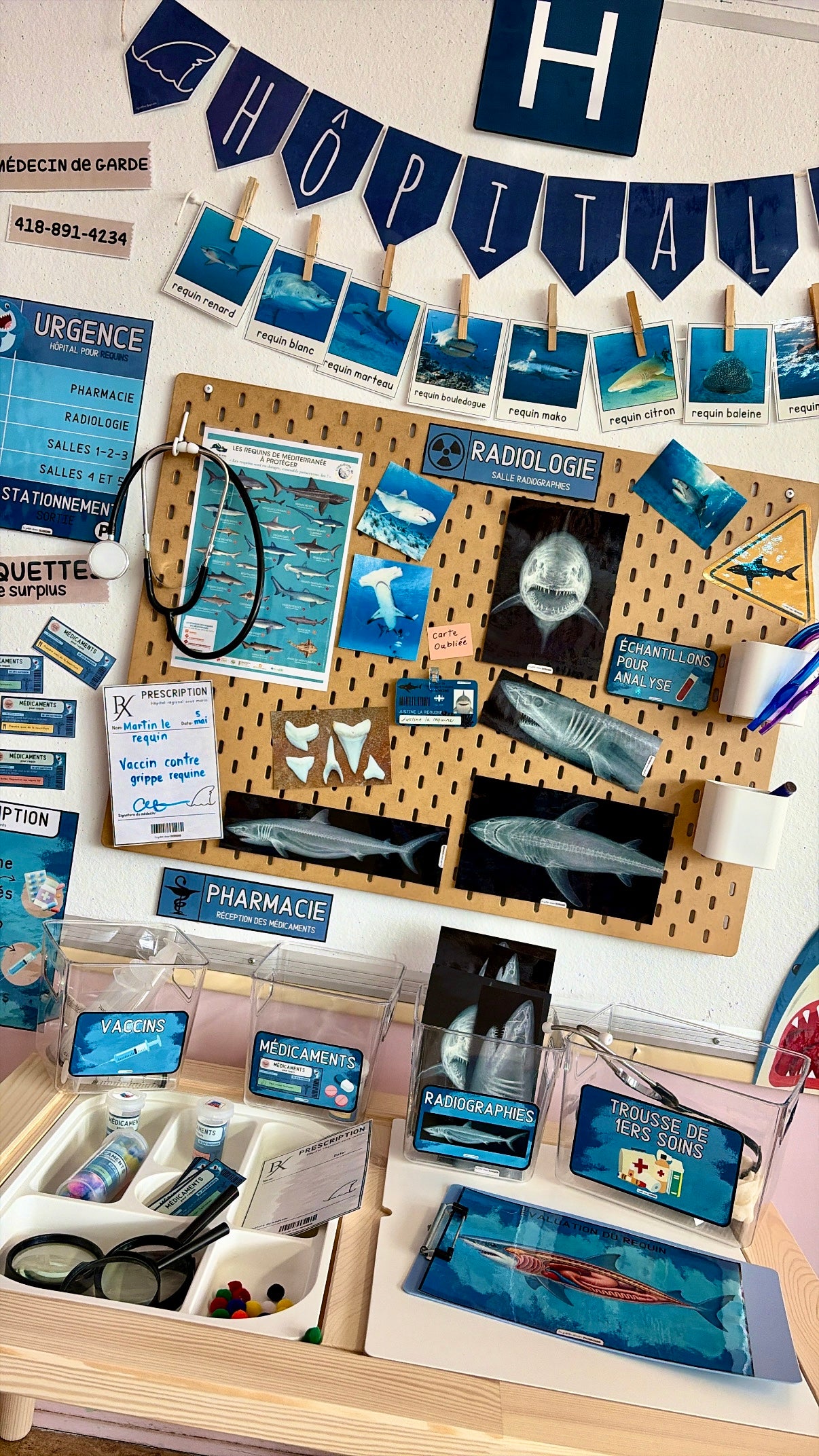 Ensemble - Hôpital de requins et activités/ateliers