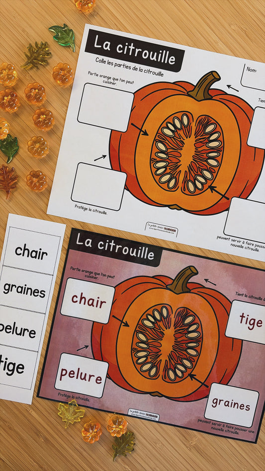 Ensemble 4 activités et 6 ateliers - Les citrouilles