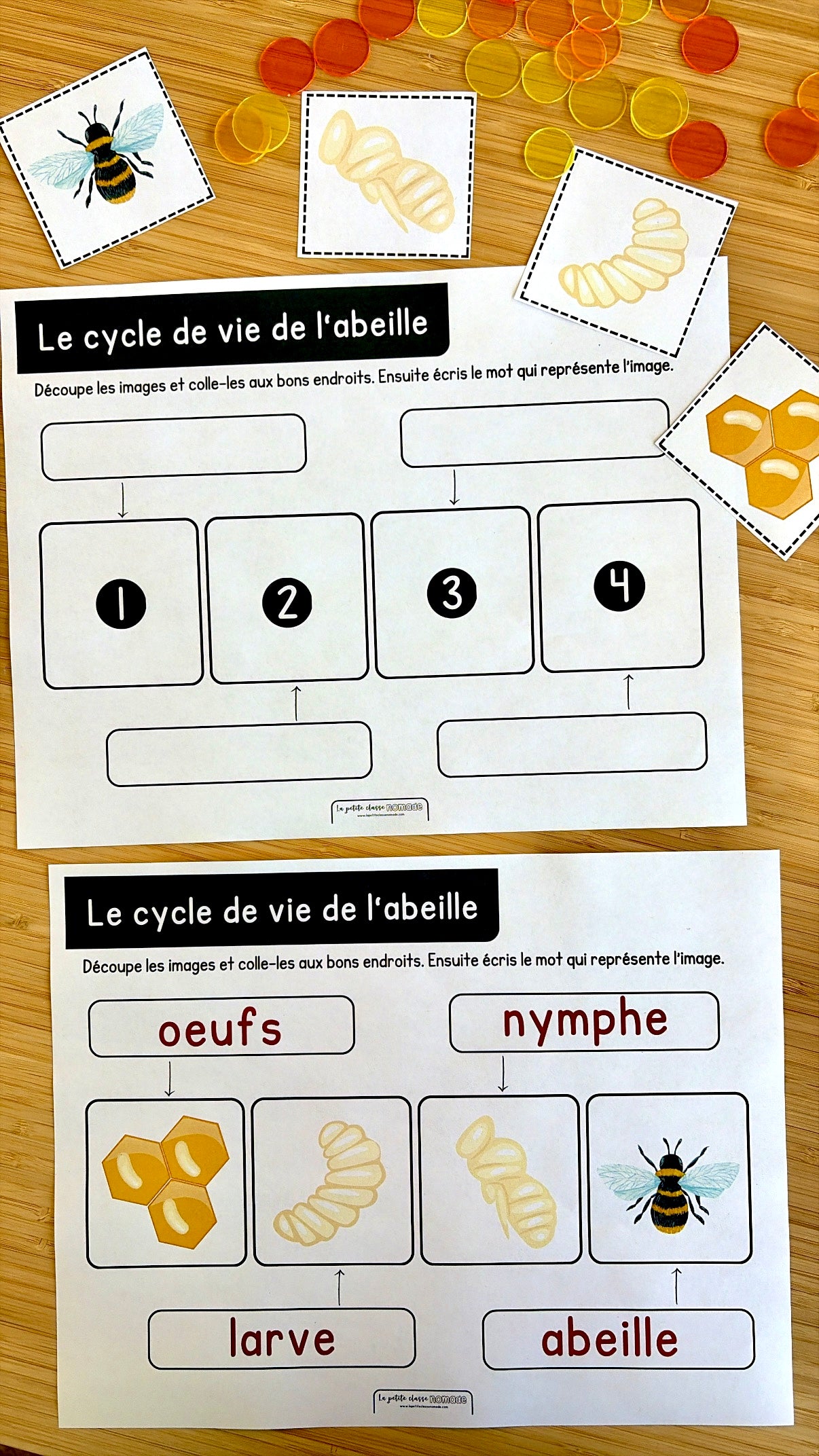 Ensemble - Ateliers de lettres thématique Insectes - Pp, Cc, Ll, Ff, Aa