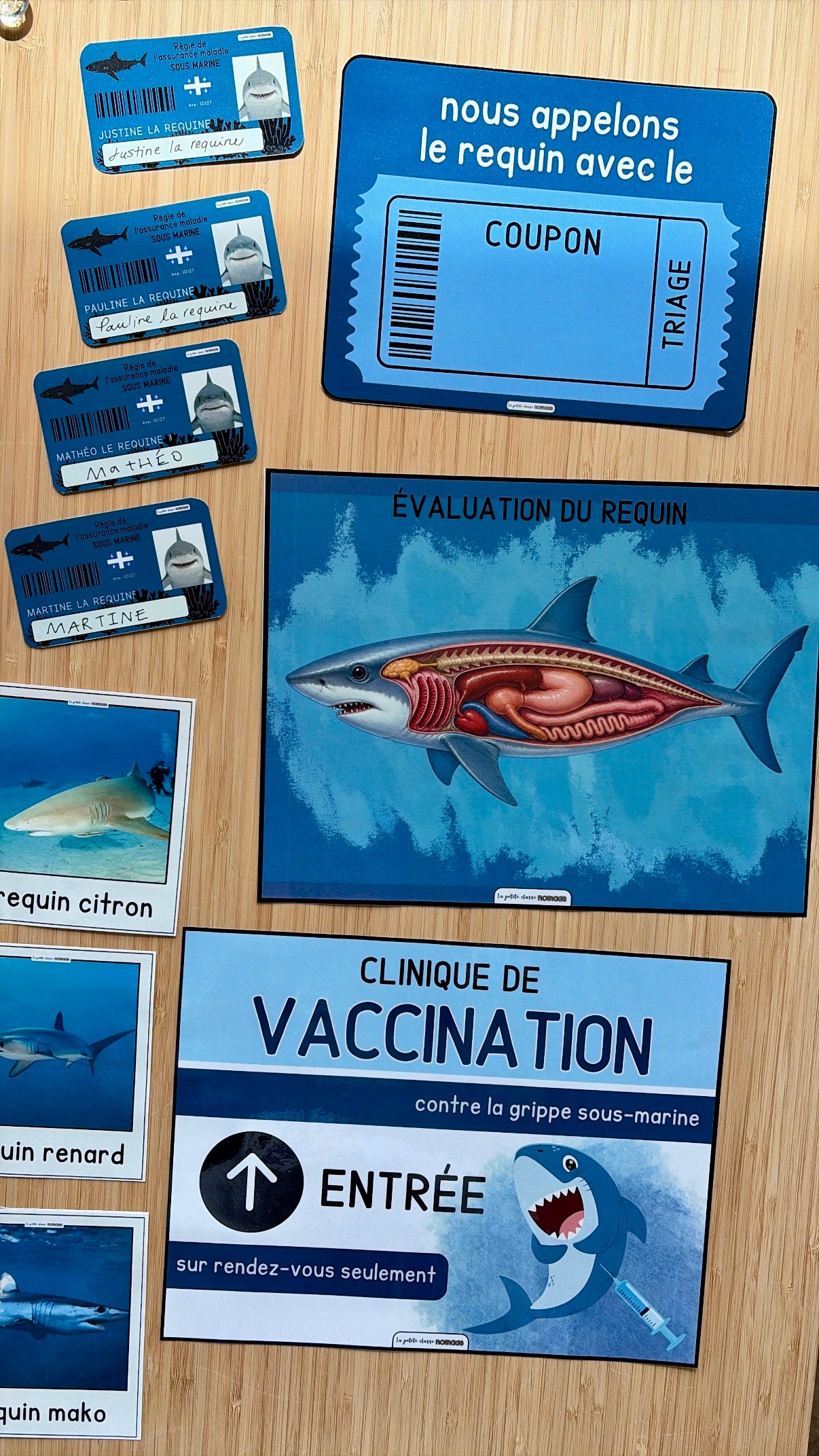 Ensemble - Hôpital de requins et activités/ateliers