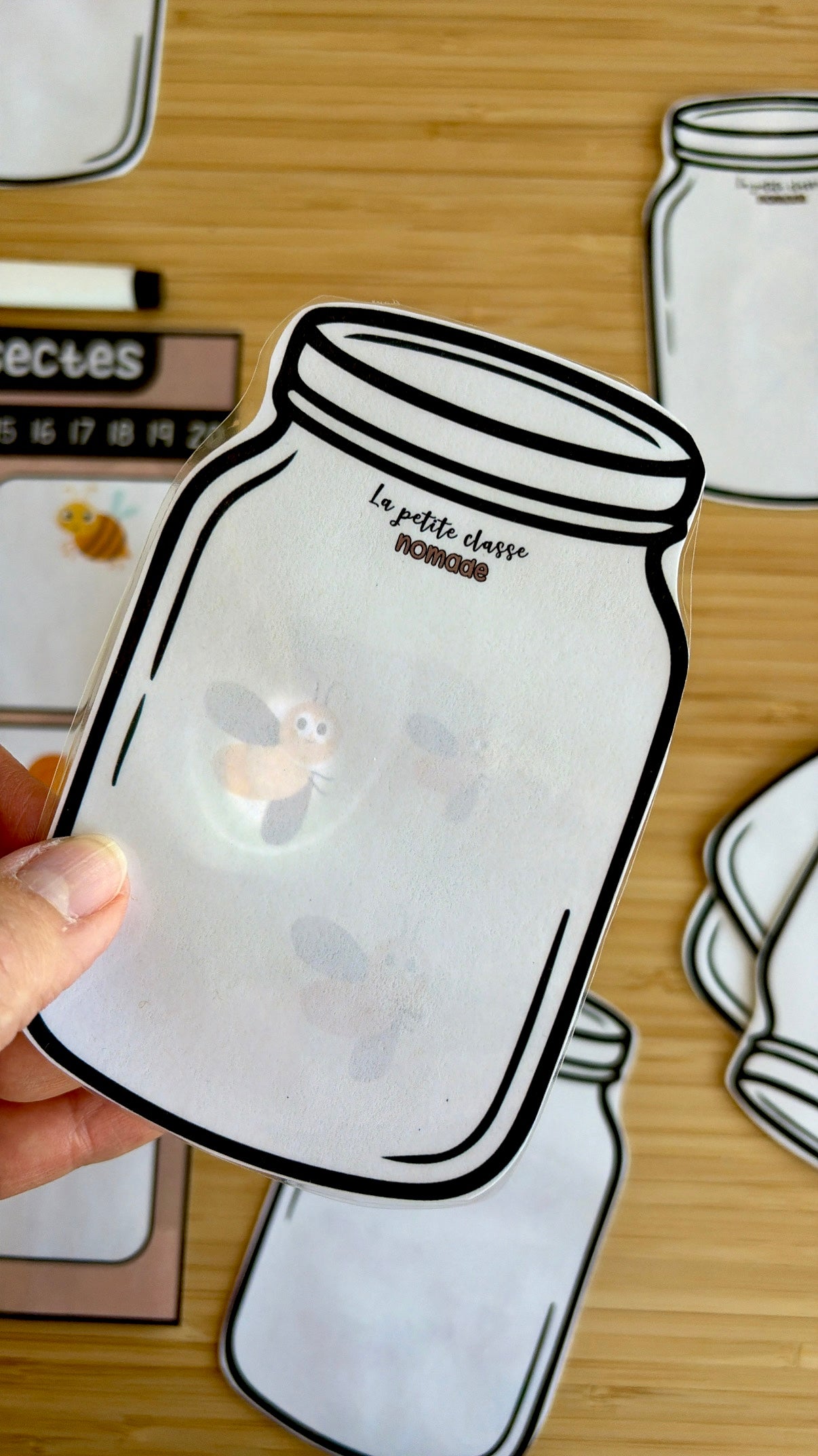 Compte les insectes dans les pots - Insectes
