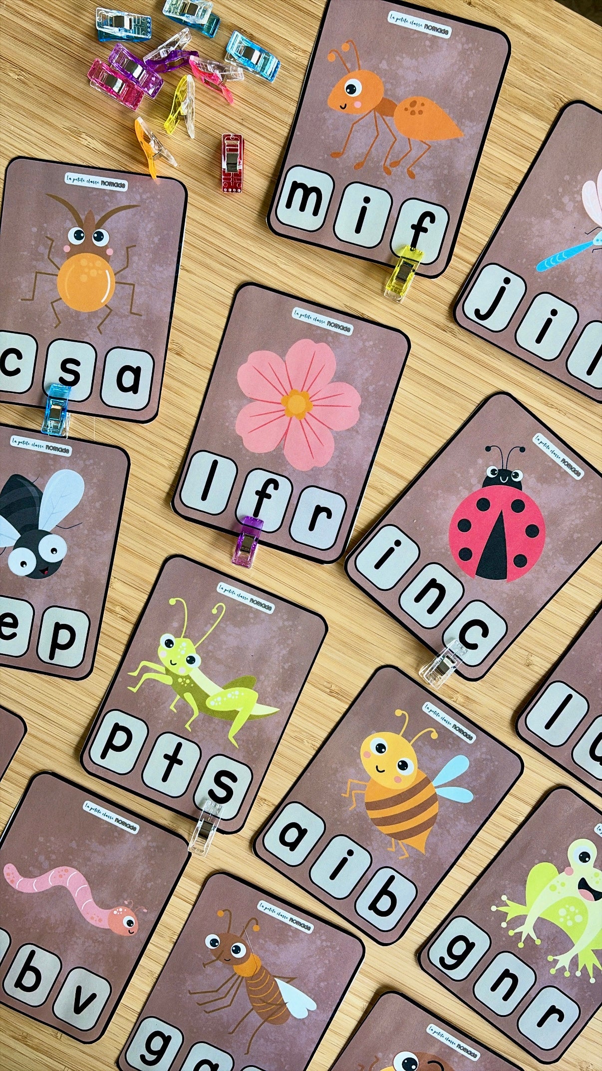 Cartes son initial - Insectes et printemps