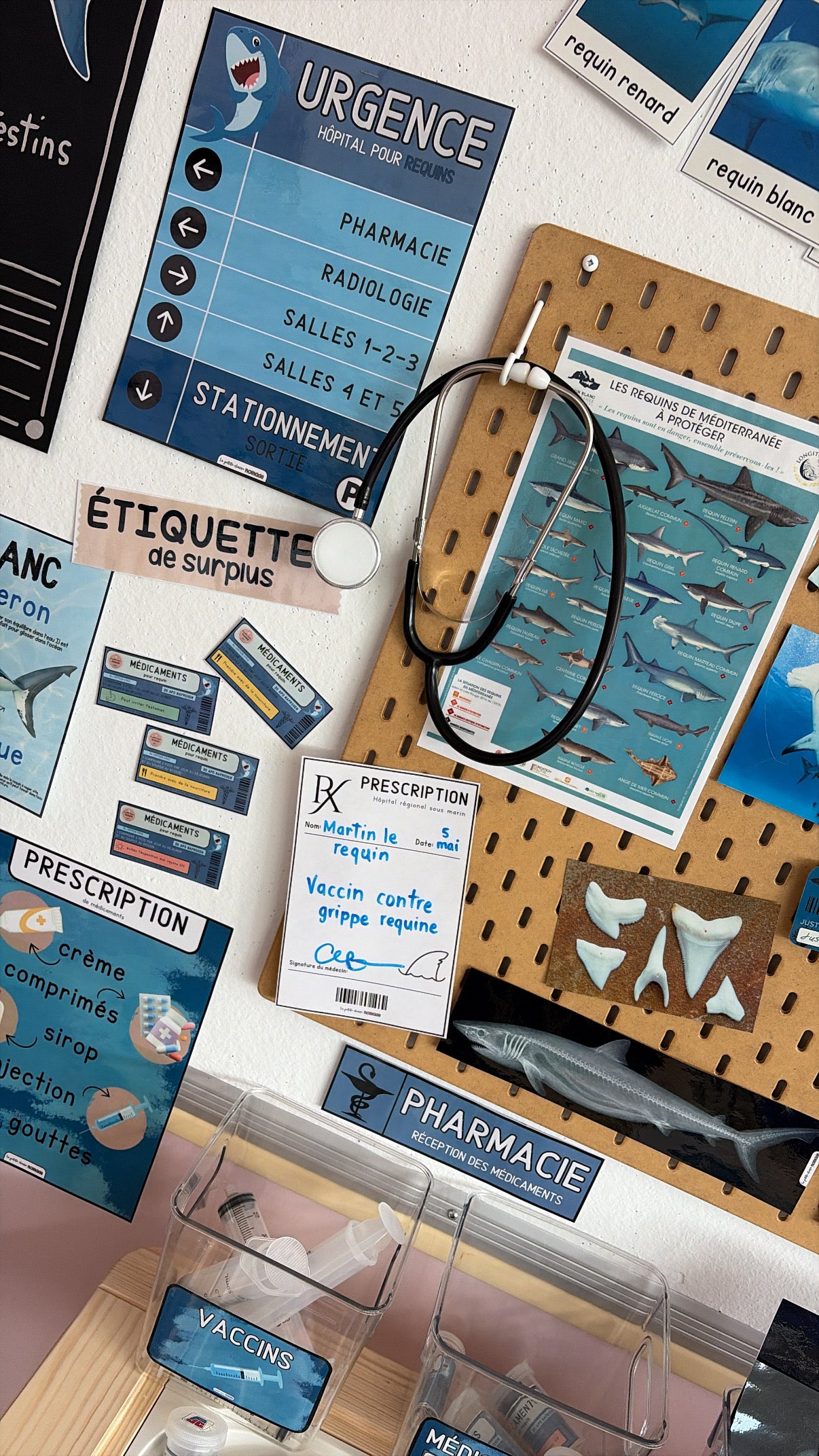 Ensemble - Hôpital de requins et activités/ateliers