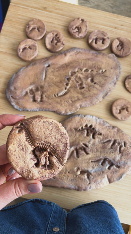 Recette pâte de sel - Fossiles