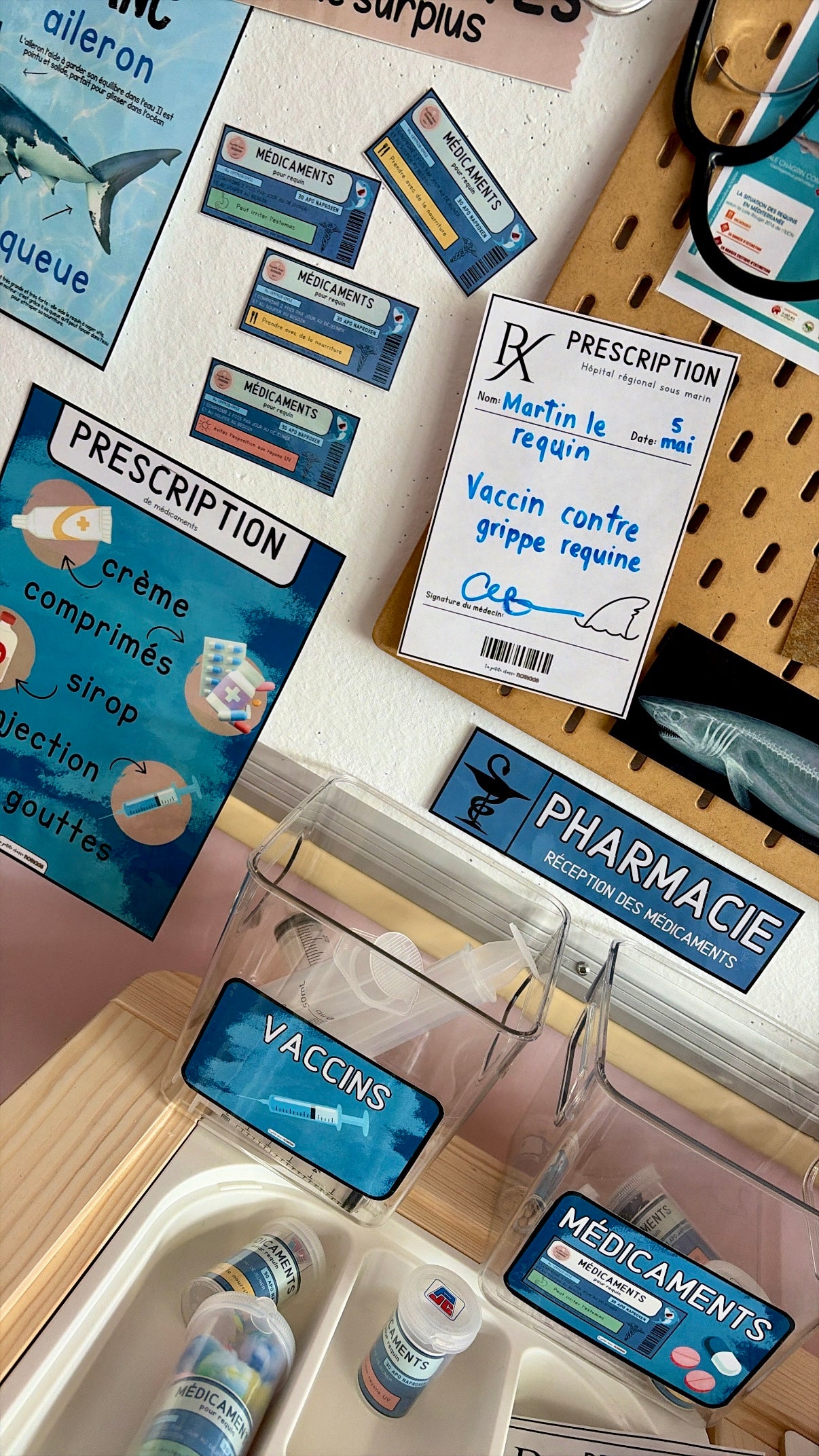 Ensemble - Hôpital de requins et activités/ateliers