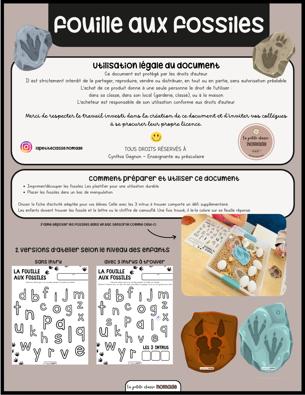 Atelier - La fouille aux fossiles