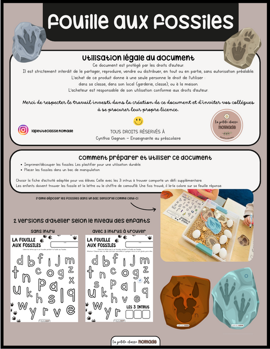 Atelier - La fouille aux fossiles