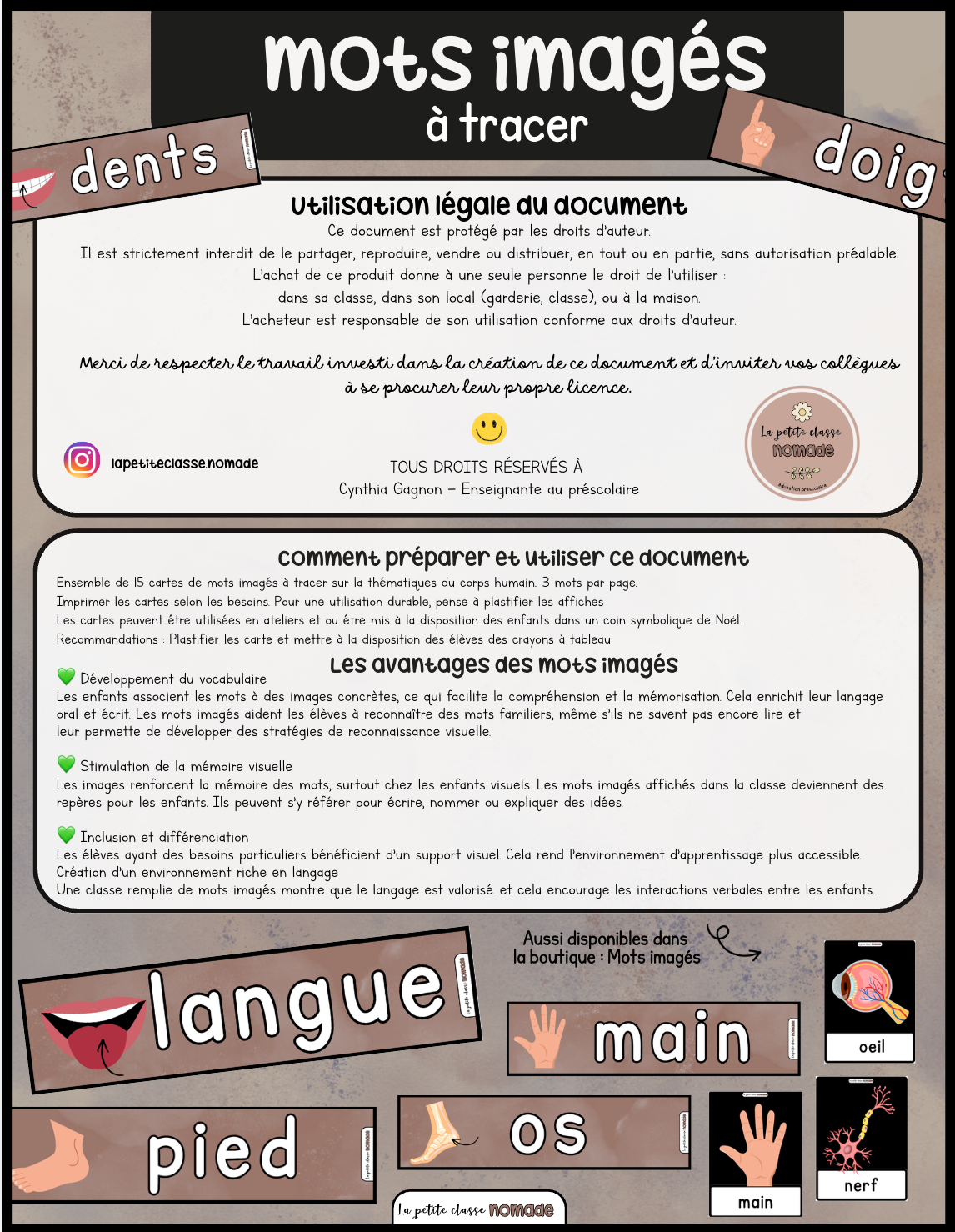 Ensemble de 7 activités-ateliers - Corps humain