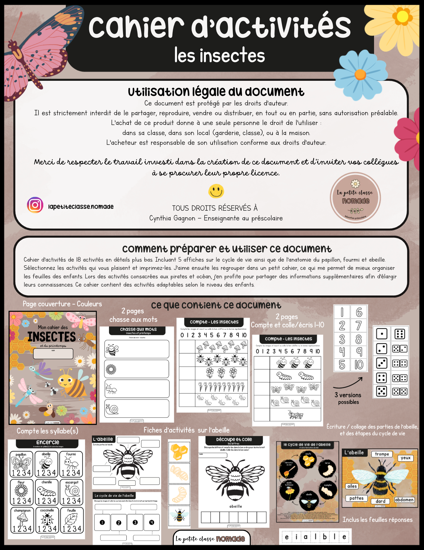 Cahier d'activités insectes et printemps